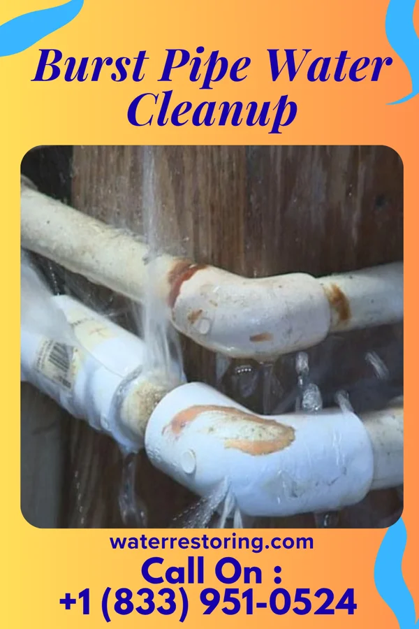 Burst Pipe Water Cleanup in Cattaraugus, NY