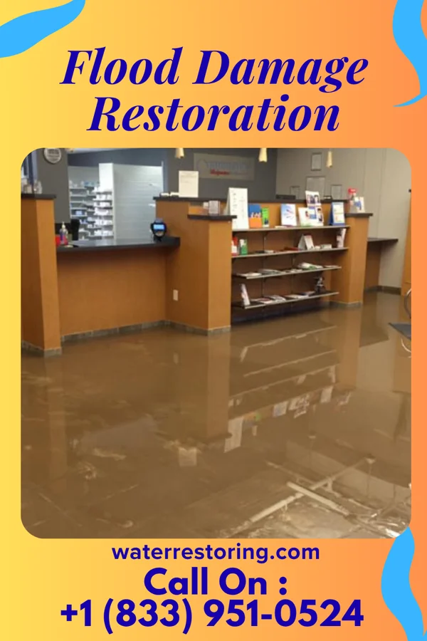 Flood Damage Restoration in Cattaraugus, NY