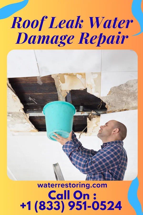 Roof Leak Water Damage Repair in Cattaraugus, NY